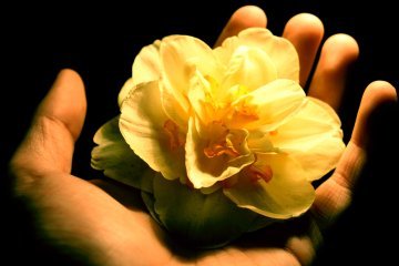 Leadership: Holding out blessing to others. Signified by a flower in hand