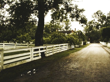 Path in Williamsburg, Virginia